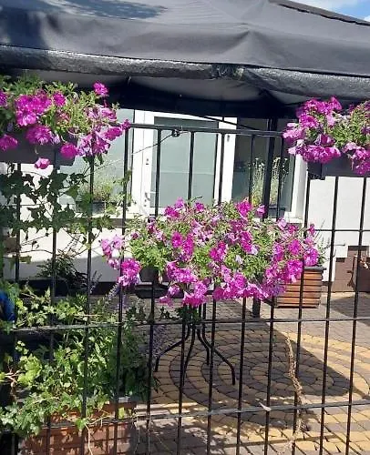 Apartment Samodzielny - 35m2 Centrum Ciechanów